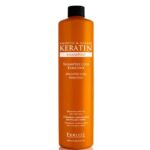 FIDELITE SH. KERATINA X 900