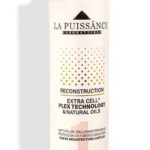 SHAMPOO RECONSTRUCTION PLEX  X 300