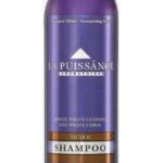 SHAMPOO MATIZADOR SILVER  X 300