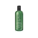 SHAMPOO  FRIZZ CONTROL X 375 ML